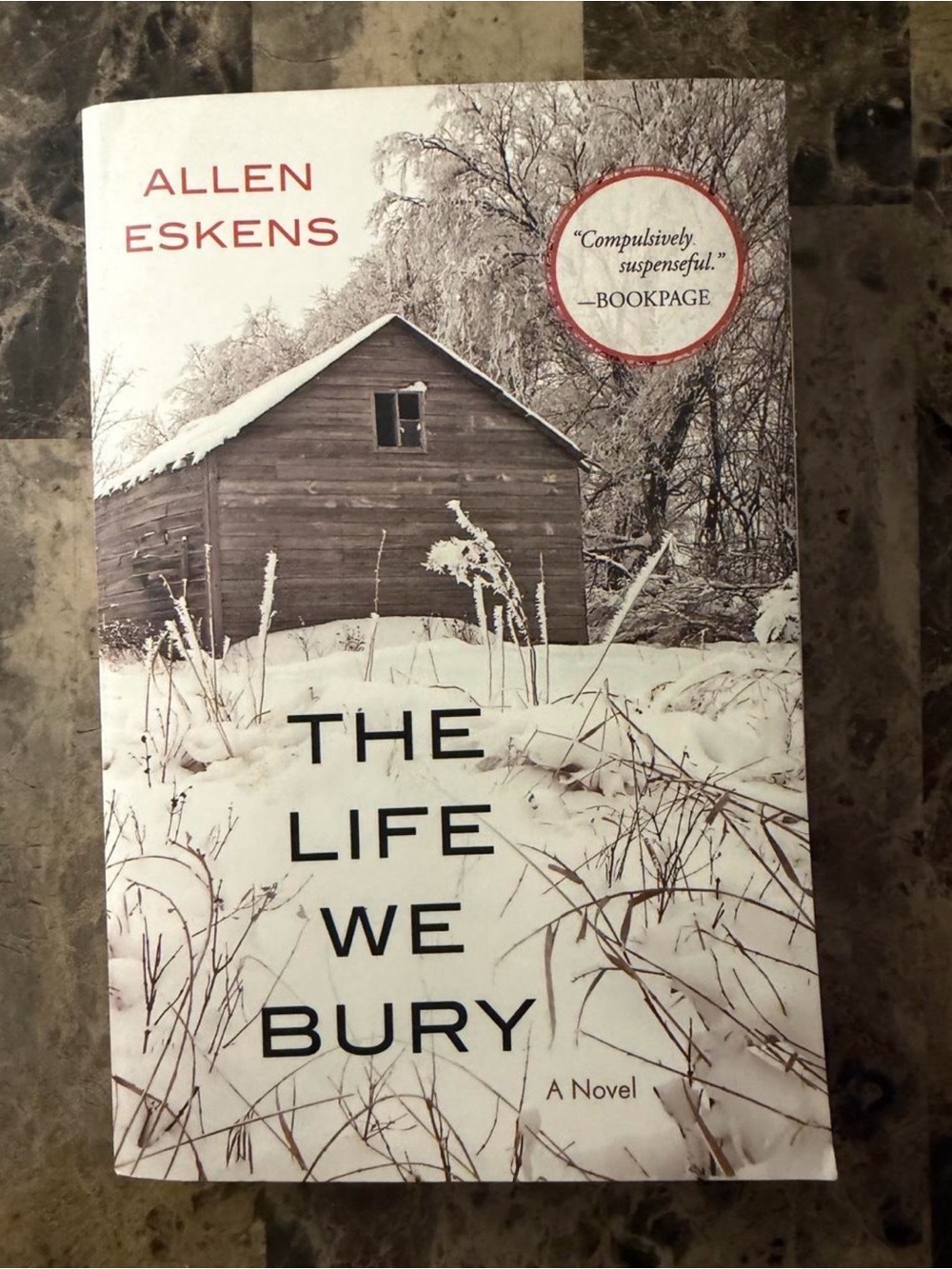 Book: The Life We Bury